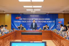 Phó Thống đốc Ngân hàng Nhà nước Phạm Thanh Hà phát biểu tại tọa đàm. (Ảnh: Vietnam+)