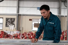 Anh Nguyễn Văn Ba, Giám đốc Hợp tác xã Việt Cường vẫn còn bần thần về những gì đang xảy ra. (Ảnh: Vietnam+)