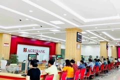 Dư nợ cho vay nền kinh tế của Agribank đạt 1,7 triệu tỷ đồng, tăng 11%. (Ảnh: Vietnam+)