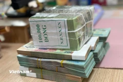 Lãi suất huy động tại các ngân hàng tăng nhưng vẫn trong tầm kiểm soát. (Ảnh: Vietnam+)