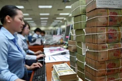 Hiệp hội Ngân hàng Việt Nam kêu gọi các tổ chức tín dụng hội viên, đồng thuận giảm lãi suất. (Ảnh: Vietnam+)