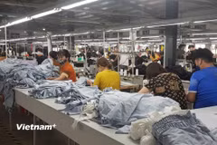 Thương hiệu chính là một trong những động lực quan trọng nhất của mô hình tăng trưởng kinh tế mới. (Ảnh: Vietnam+)