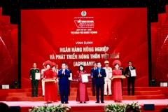 Agribank là đại diện ngân hàng duy nhất được vinh danh trong Chương trình. (Ảnh: Vietnam+)