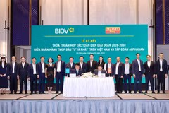 Tổng Giám đốc BIDV Lê Ngọc Lâm và Chủ tịch HĐQT Alphanam Nguyễn Tuấn Hải đại diện hai đơn vị ký kết thỏa thuận hợp tác. (Ảnh: Vietnam+)