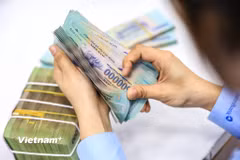 Yêu cầu các tổ chức tín dụng ổn định lãi suất tiền gửi, giảm lãi suất cho vay. (Ảnh: Vietnam+)