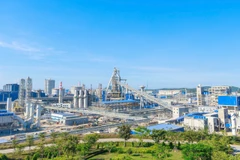 Hòa Phát thăng hạng trong tốp 100 công ty lớn nhất khu vực Đông Nam Á. (Ảnh: Vietnam+)