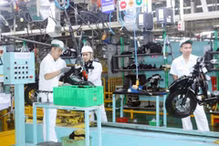 Doanh nghiệp FDI tại Ninh Bình. (Ảnh: Vietnam+)