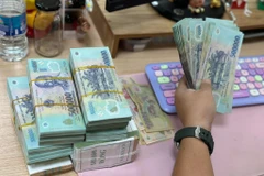 Hộ nông dân được vay tối đa 300 triệu đồng không tài sản thế chấp. (Ảnh: Vietnam+)