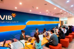 Lợi nhuận 6 tháng của VIB đạt 5.000 tỷ đồng, tăng trưởng tín dụng 10%. (Ảnh: Vietnam+)