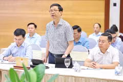 Ông Nguyễn Duy Hoàng - Cục trưởng Cục Kiểm soát thủ tục hành chính Văn phòng Chính phủ trả lời họp báo Chính phủ chiều ngày 4/6. (Ảnh: Vietnam+)