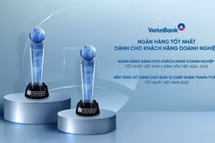 VietinBank ghi dấu ấn quốc tế với hai giải thưởng ngân hàng doanh nghiệp. (Ảnh: Vietnam+)