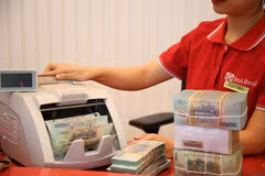 Ngân hàng dành nhiều nguồn vốn ưu đãi cho doanh nghiệp tư nhân. (Ảnh: Vietnam+)
