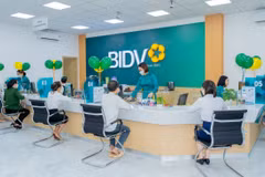 Sau khi hoàn tất đợt phát hành, vốn điều lệ của BIDV sẽ tăng từ mức 72.800 tỷ đồng hiện tại lên 77.782 tỷ đồng. (Ảnh: Vietnam+)