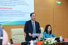 Phó Thống đốc Ngân hàng Nhà nước Đào Minh Tú phát biểu tại tọa đàm. (Ảnh: Vietnam+)