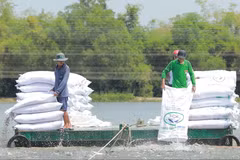 Agribank đã đăng ký triển khai chương trình tín dụng ưu đãi lĩnh vực nông, lâm, thủy sản quy mô 20.000 tỷ đồng. (Ảnh: Vietnam+)