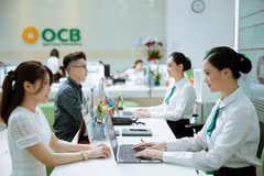 OCB phát hành gần 400 triệu cổ phiếu thưởng cho cổ đông hiện hữu. (Ảnh: Vietnam+)