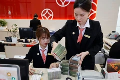 Hệ thống tài chính vào cuộc cho mục tiêu tăng trưởng bền vững. (Ảnh: Vietnam+)