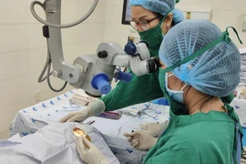 Bệnh viện Mắt thực hiện ca phẫu thuật phaco cho gia đình chính sách. (Ảnh: Khánh Ly/Vietnam+)
