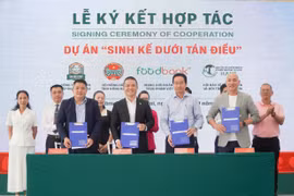 Lễ ký kết Dự án “Phát triển bền vững sinh kế dưới tán điều”. (Ảnh: Khánh Ly/Vietnam+)
