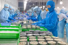 Nhân viên đóng hộp thịt càng ghẹ tại nhà máy Công ty Seaspimex (TP. Hồ Chí Minh) đạt chuẩn Halal. (Ảnh: Khánh Ly/Vietnam+)