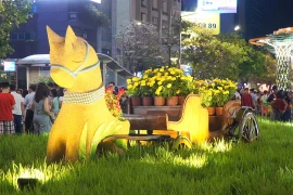 Người dân TP Hồ Chí Minh nô nức du Xuân trong không gian đường hoa Nguyễn Huệ 