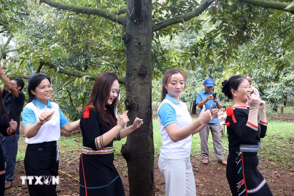 ttxvn-dak-lak-xay-dung-le-hoi-sau-rieng-thanh-san-pham-van-hoa-du-lich-dac-trung-9000936-1.jpg