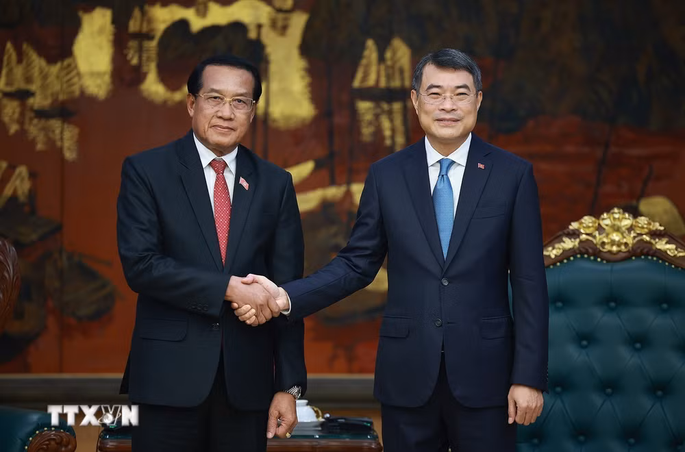 ttxvn-thu-tuong-tiep-doan-dai-bieu-cap-cao-thanh-tra-nha-nuoc-lao-8981446.jpg