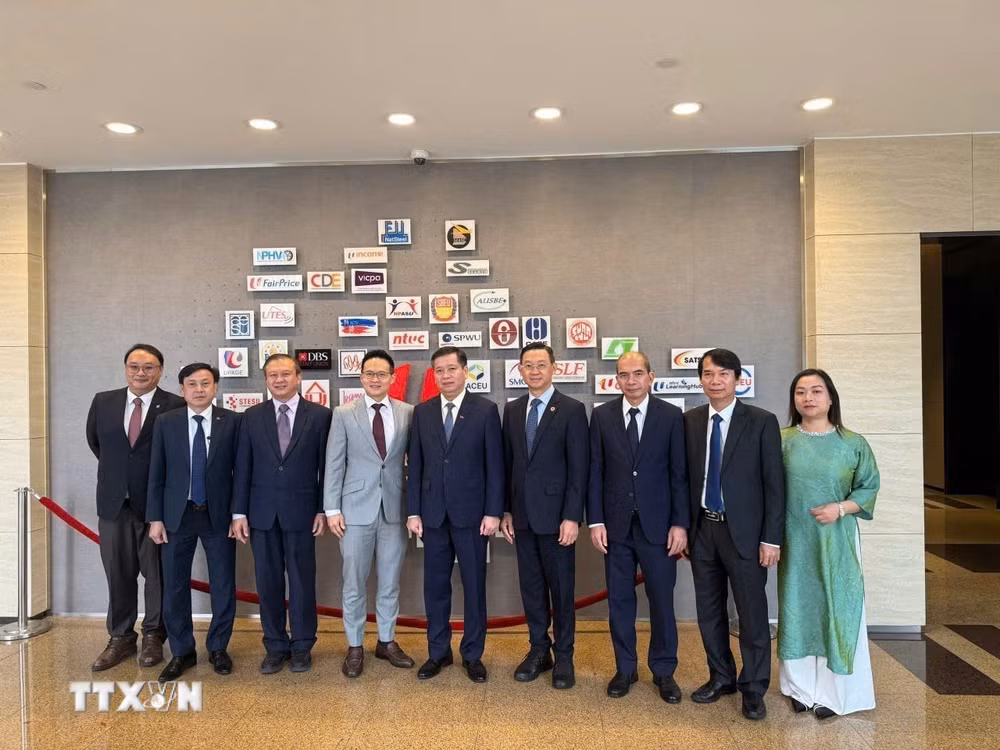 ttxvn_viet-nam-va-singapore-thuc-day-hop-tac-kenh-dang-9092212-4.jpg