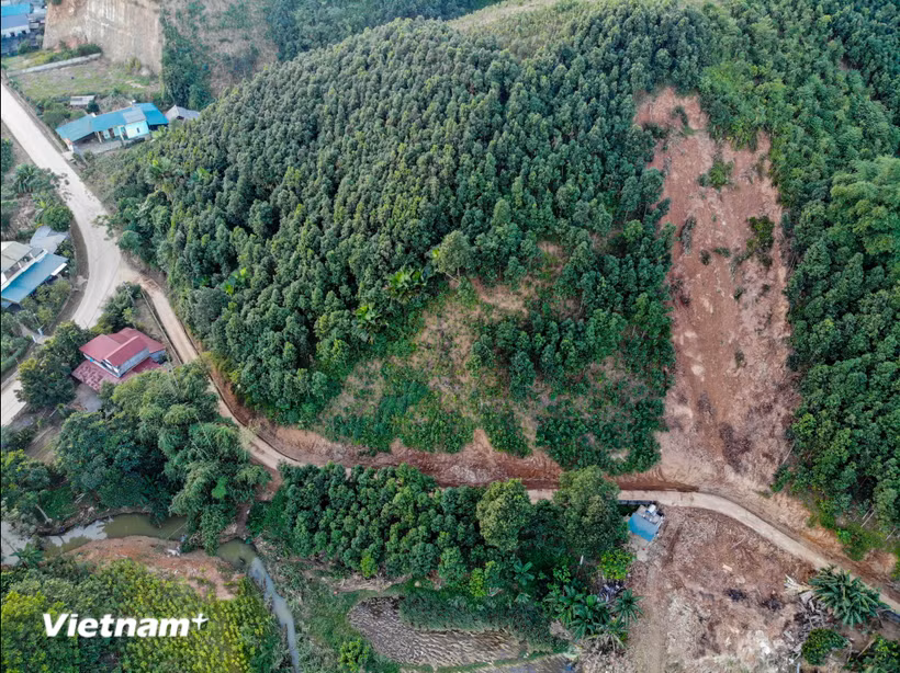 Trong 11 tháng qua (tính từ đầu năm 2025 đến nay), cả nước có 1.059,6 ha rừng bị thiệt hại. (Ảnh: Hoài Nam/Vietnam+)