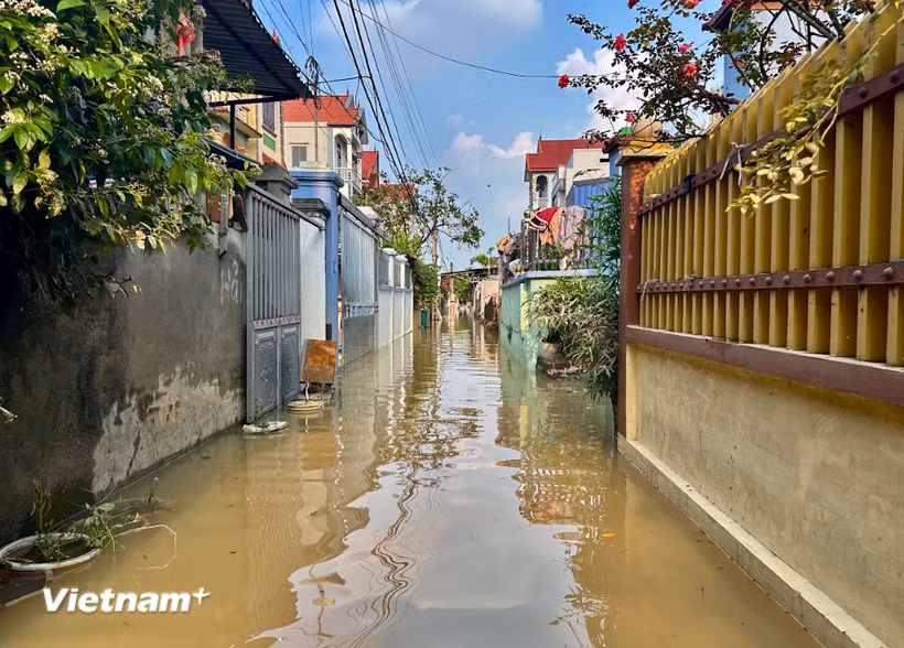 Trên địa bàn thành phố Hà Nội hiện vẫn còn 1.503 nhà bị ngập do mưa lũ sau bão số 11. (Ảnh: Bảo Ngọc/Vietnam+)