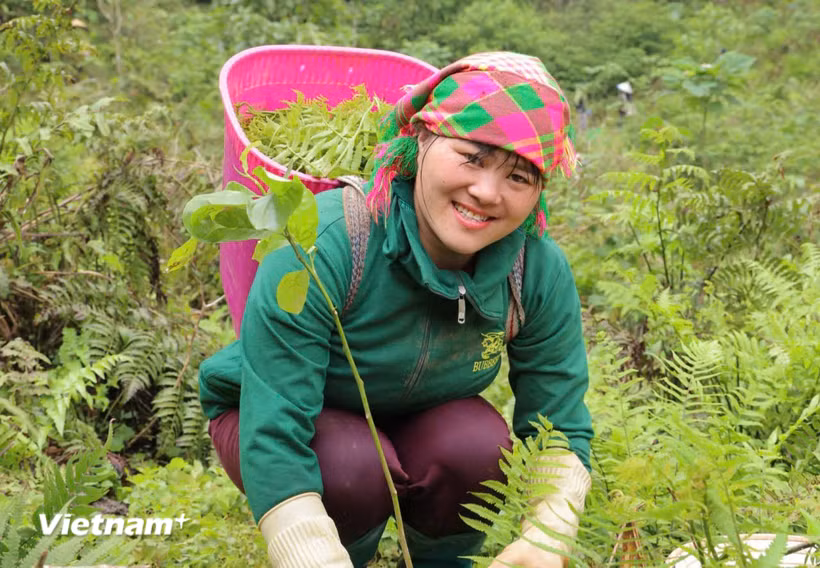Việc nâng cao năng suất lao động trong lĩnh vực nông nghiệp được đặt trong mối quan hệ chặt chẽ với phát triển nguồn nhân lực. (Ảnh: Nguyễn Cường)
