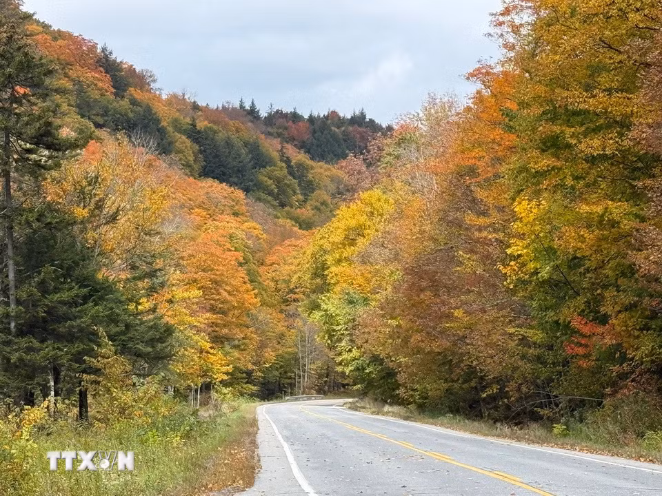 Cung đường uốn lượn rợp bóng cây thay lá tại bang Vermont (Mỹ). (Ảnh: TTXVN)