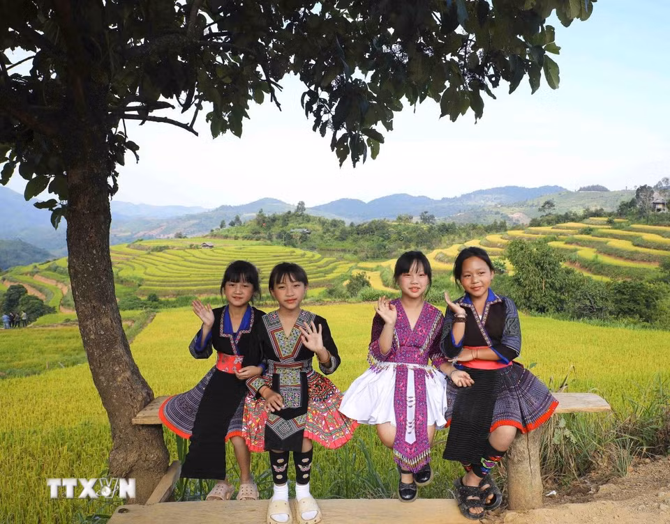 Những em bé dân tộc Mông vùng cao Pu Nhi giữa cánh đồng ruộng bậc thang. (Ảnh: Xuân Tư/TTXVN)
