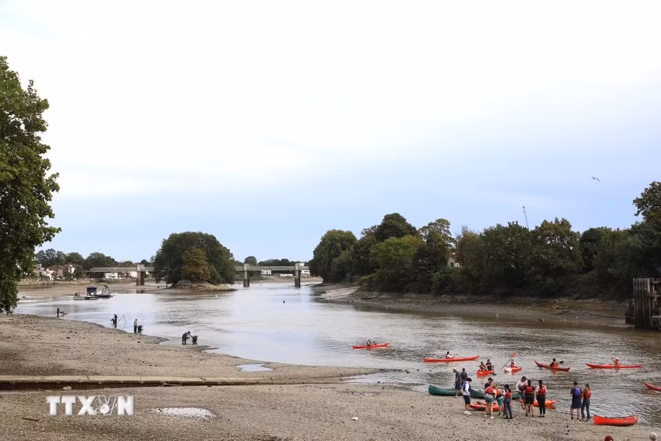 Mực nước sông Thames tại London xuống mức thấp kỷ lục trong nhiều năm khiến lòng sông bị thu hẹp đáng kể. (Ảnh: Hữu Tiến/TTXVN)