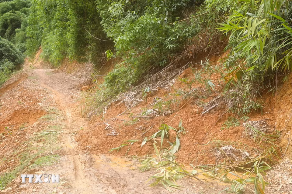 Một điểm sạt lở mới trên tuyến đường Xốp Kho-Na Ngân với lượng lớn đất và cây rừng từ vách taluy dương sụt trượt xuống mặt đường, gây cản trở giao thông. (Ảnh: Xuân Tiến/TTXVN)