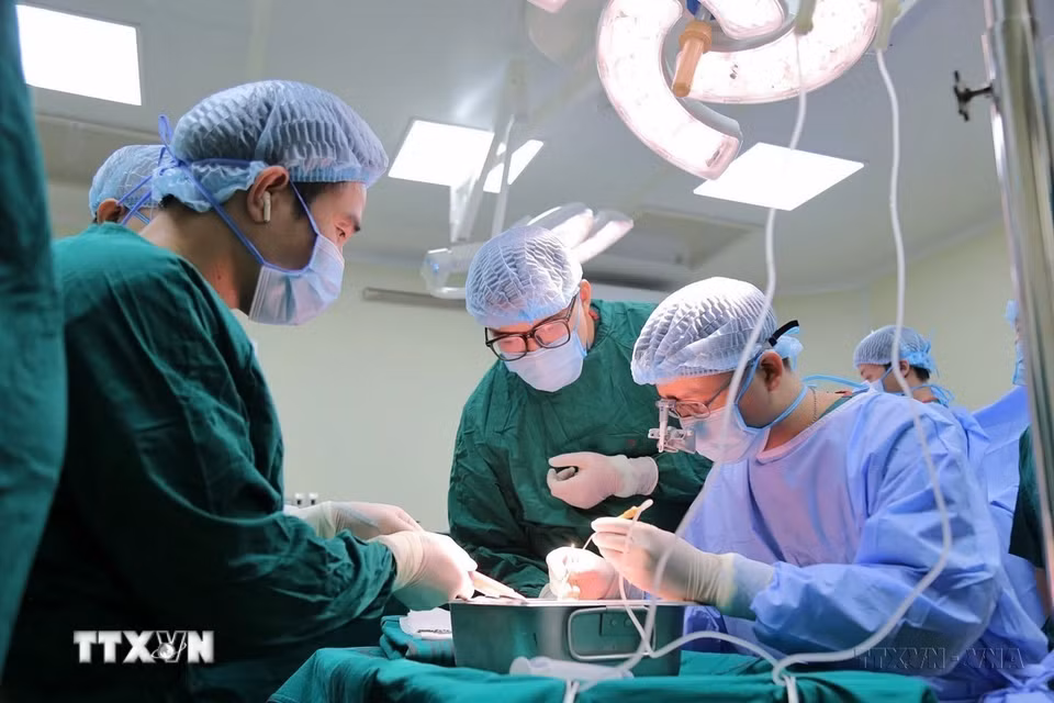 Ngày 8/9/2024, Bệnh viện Đa khoa Đức Giang (Hà Nội) chính thức ghi tên mình trên bản đồ ghép tạng Việt Nam bằng việc thực hiện thành công ca ghép thận đầu tiên cho một bệnh nhân nữ ở Tuyên Quang. (Ảnh: Minh Quyết/TTXVN)