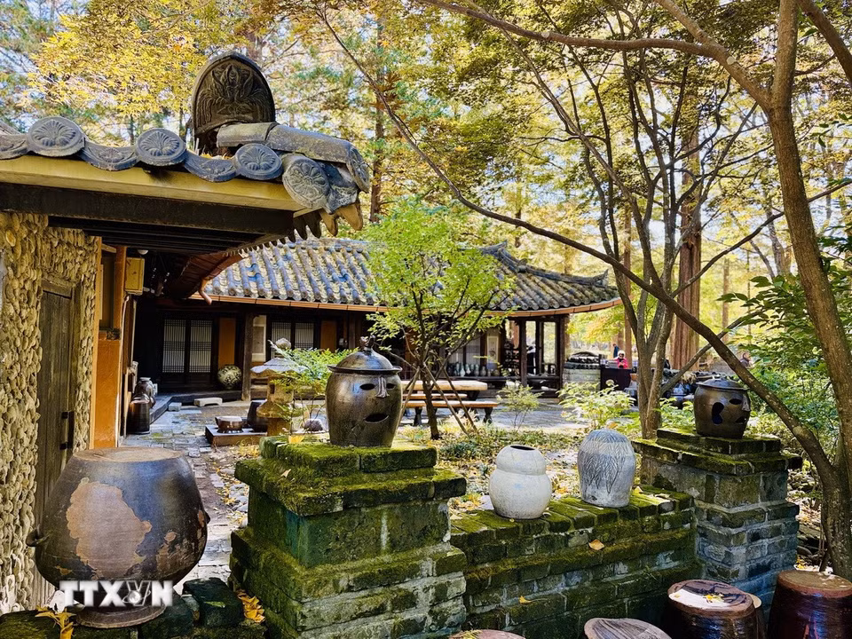 Khung cảnh sân vườn nhà truyền thống Hàn Quốc giữa khung cảnh mùa thu trên đảo Nami. (Ảnh: Nhật Hưng/TTXVN)