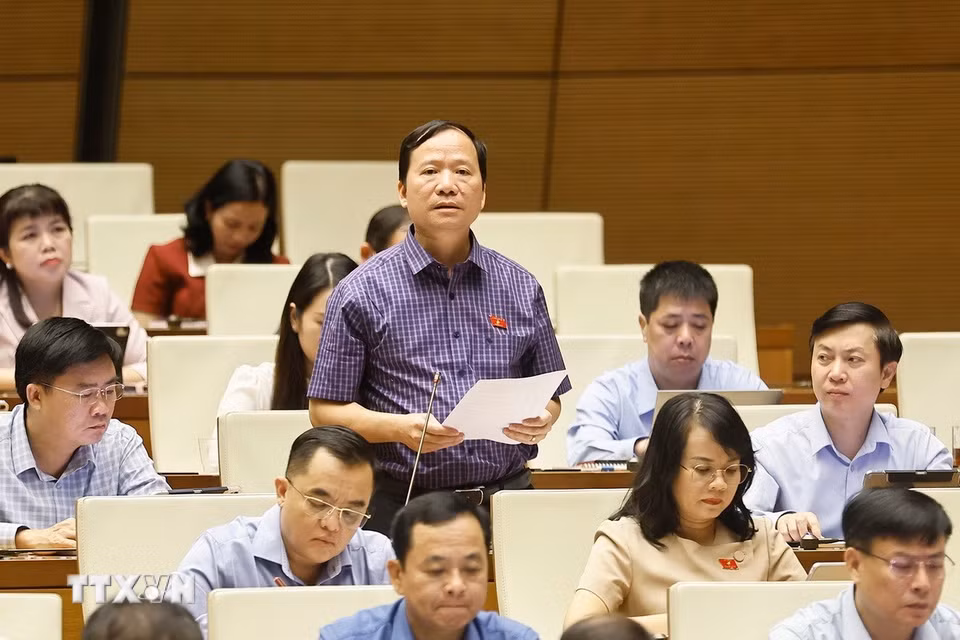Đại biểu Quốc hội tỉnh Lạng Sơn Nguyễn Đăng Ân phát biểu. (Ảnh: Doãn Tấn/TTXVN)