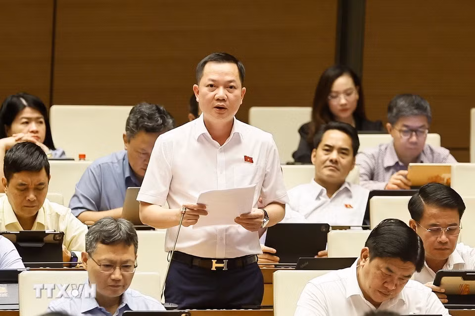 Đại biểu Quốc hội thành phố Đồng Nai Trịnh Xuân An phát biểu. (Ảnh: Doãn Tấn/TTXVN)
