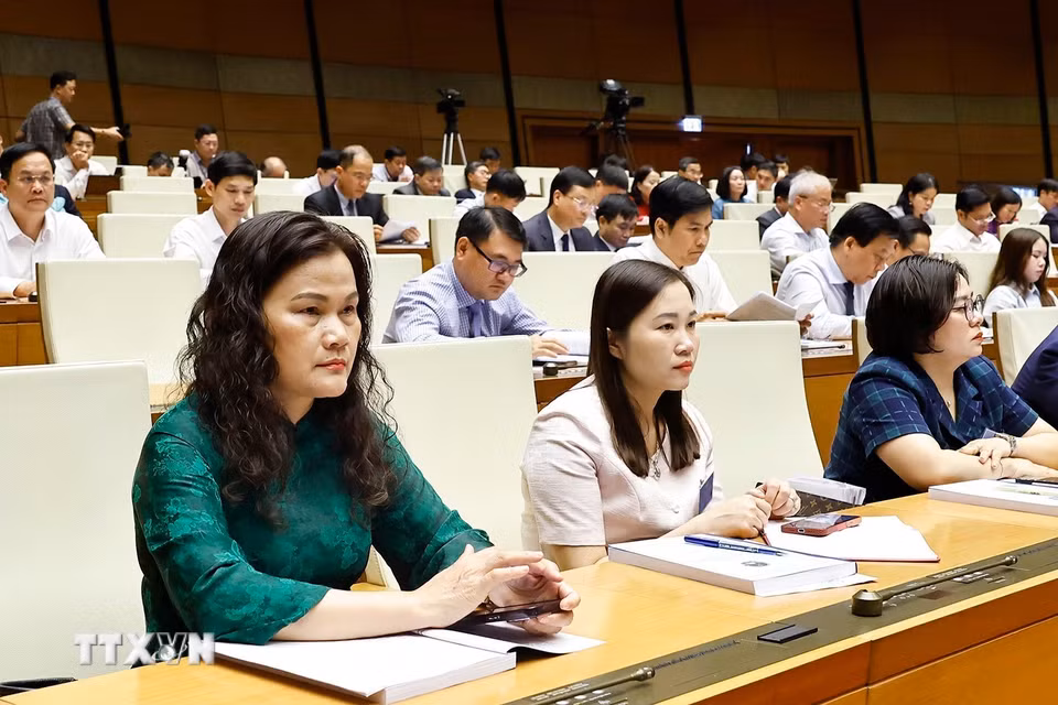 Đại biểu dự Hội nghị. (Ảnh: Doãn Tấn/TTXVN)