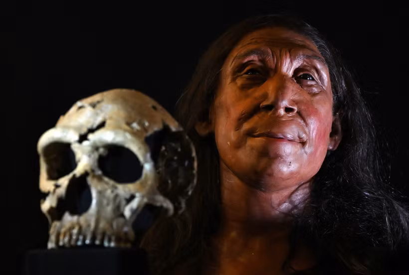 Khuôn mặt được phục dựng của Shanidar Z, người phụ nữ Neanderthal sống cách đây 75.000 năm, được công bố tại trường Đại học Cambridge, Anh, ngày 25/4/2024. (Ảnh: AFP/TTXVN)