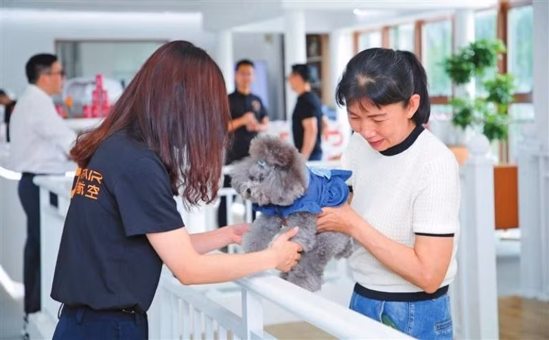 Thú cưng và người chủ đang chờ chuyến bay tại phòng chờ dành cho thú cưng ở sân bay ở Thâm Quyến. (Nguồn: Chinadaily)