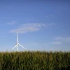Một tuabin gió trên cánh đồng ngô ở Haverhill, Iowa, Mỹ. (Nguồn: Reuters)