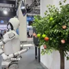 Robot giúp thu hoạch hoa quả được trưng bày tại Hội nghị Robot thế giới 2025 thúc đẩy phát triển công nghiệp robot, Bắc Kinh, Trung Quốc. (Ảnh: Công Tuyên/TTXVN)