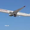 Máy bay của Hãng hàng không Qatar Airways. (Ảnh: AFP/TTXVN)
