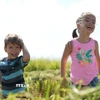 Con em nông dân Cuba vui đùa trên cánh đồng lúa mới gặt ở huyện Los Palacios, tỉnh Pinar del Rio. (Ảnh: Việt Hùng/TTXVN)
