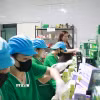 Công ty TNHH Cao Dược liệu Định Sơn Mai Thị Thủy (tỉnh Quảng Trị) đã mạnh dạn khởi nghiệp, phát triển thương hiệu các sản phẩm dược liệu ở địa phương ra thị trường lớn. (Ảnh: Tường Vi/TTXVN)