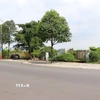 Giá đất ở đô thị Đồng Nai cao nhất là 49,5 triệu đồng/m2. (Ảnh: Công Phong/TTXVN)
