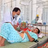 Các y, bác sỹ tích cực theo dõi, điều trị các ca bệnh ngộ độc sau khi ăn bánh mỳ. (Ảnh: Quang Thái/TTXVN)