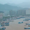 Các tàu thuyền tránh trú bão tại cảng Shipu, thành phố Ninh Ba, tỉnh Chiết Giang, miền Đông Trung Quốc. (Ảnh: Tân hoa xã)